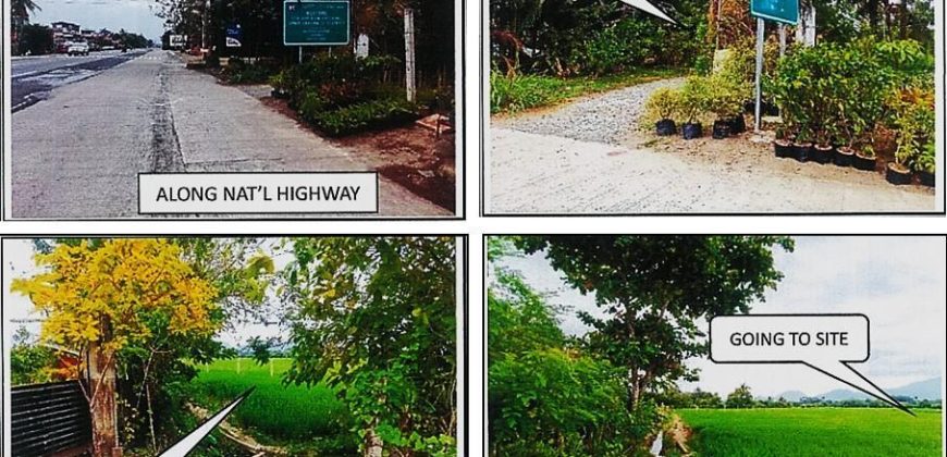 Foreclosed Agricultural Lot in Bay, Laguna (PDIC)
