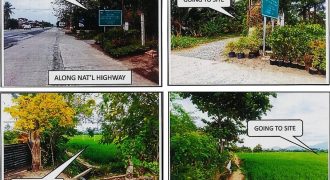 Foreclosed Agricultural Lot in Bay, Laguna · Lot 12-E (PDIC)