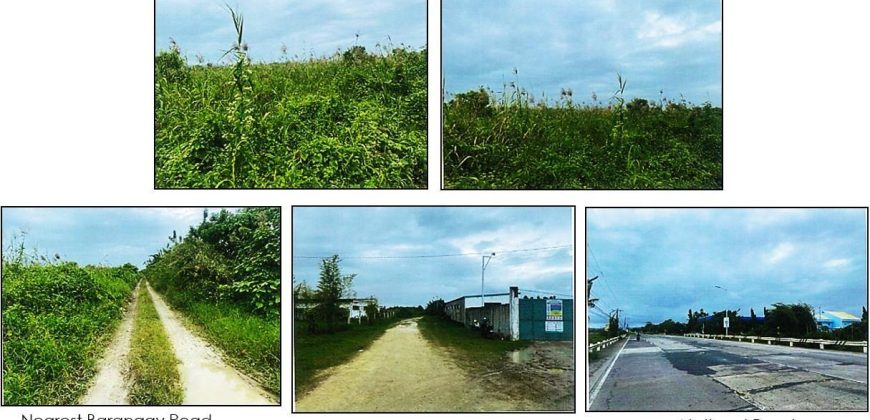 Foreclosed Commercial Lot in San Fernando City, Camarines Sur (PDIC)
