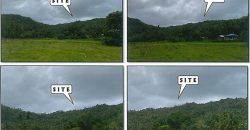 Foreclosed Agricultural Lot in Ibajay, Aklan (PDIC)