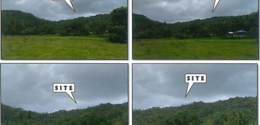 Foreclosed Agricultural Lot in Ibajay, Aklan (PDIC)