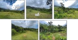 Foreclosed Agricultural Lot in Nabas, Aklan (PDIC)