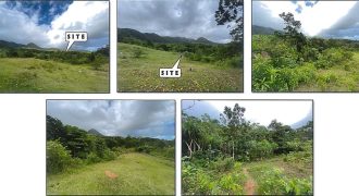 Foreclosed Agricultural Lot in Nabas, Aklan (PDIC)