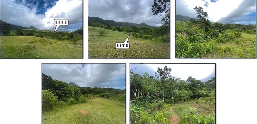 Foreclosed Agricultural Lot in Nabas, Aklan (PDIC)