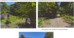 Foreclosed Agricultural Lot in Numancia, Aklan · Lot No. 6435 (PDIC)