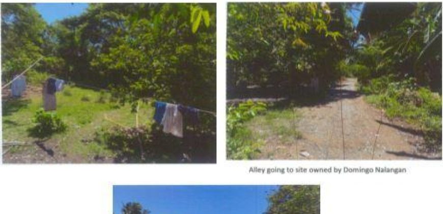 Foreclosed Agricultural Lot in Numancia, Aklan · Lot No. 6435 (PDIC)