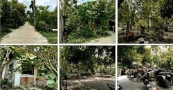 Foreclosed Property in Paniqui, Tarlac (PDIC)
