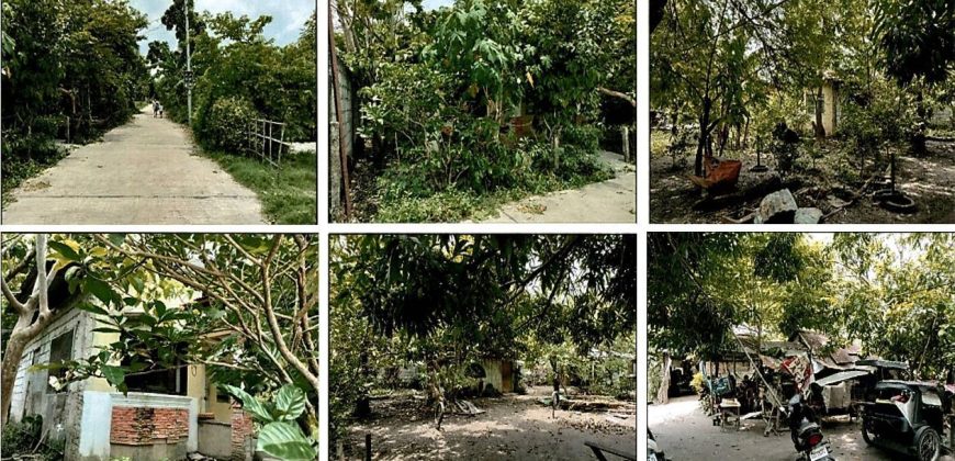 Foreclosed Property in Paniqui, Tarlac (PDIC)