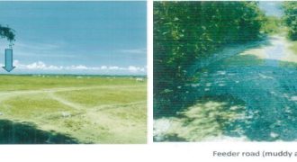 Foreclosed Agricultural Lot in Bayambang, Pangasinan · Lot 3-A (PDIC)
