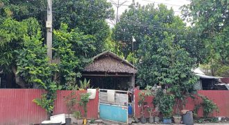 Foreclosed House and Lot in Pavia, Iloilo