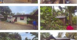 Foreclosed Property in Makato, Aklan · Lot No. 4956 (PDIC)