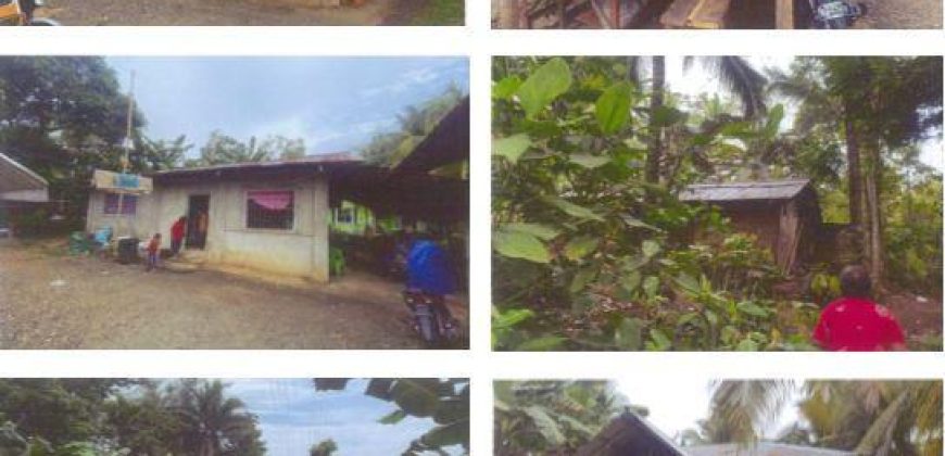 Foreclosed Property in Makato, Aklan · Lot No. 4956 (PDIC)