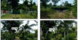 Foreclosed Residential Lot in Puerto Princesa City, Palawan (PDIC)