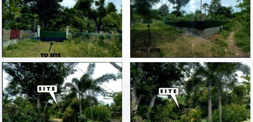 Foreclosed Residential Lot in Puerto Princesa City, Palawan (PDIC)