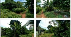 Foreclosed Residential Lot in Puerto Princesa City, Palawan – Atis St. (PDIC)