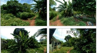 Foreclosed Residential Lot in Puerto Princesa City, Palawan – Atis St. (PDIC)
