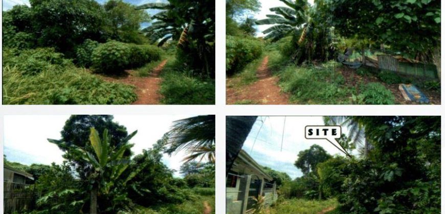 Foreclosed Residential Lot in Puerto Princesa City, Palawan – Atis St. (PDIC)