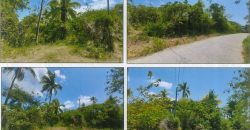 Foreclosed Agricultural Lot in Tabango, Leyte