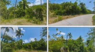 Foreclosed Agricultural Lot in Tabango, Leyte · Lot 4889 (PDIC)