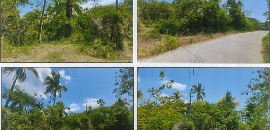 Foreclosed Agricultural Lot in Tabango, Leyte