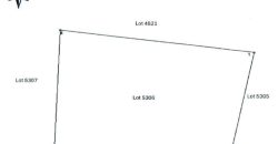Foreclosed Agricultural Lot in Sibulan, Negros Oriental (PDIC)