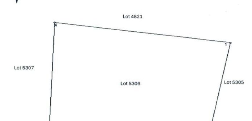 Foreclosed Agricultural Lot in Sibulan, Negros Oriental (PDIC)