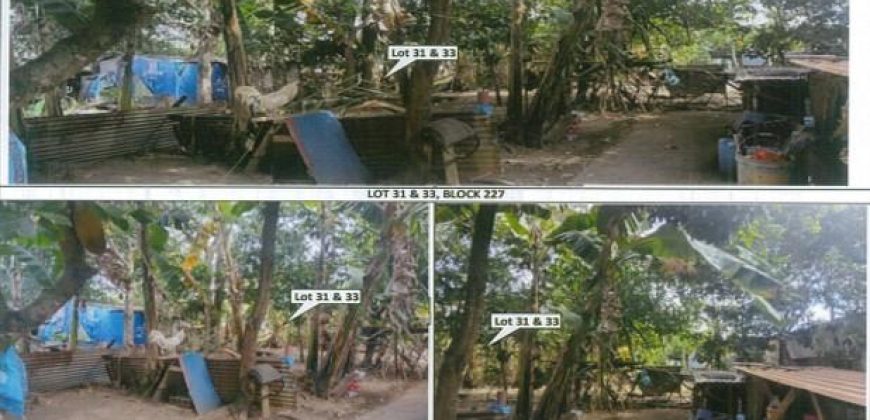 Foreclosed Residential Lot in General Trias, Cavite – St. Francis Village · Lot 33 Block 227 (PDIC)