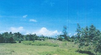 Foreclosed Residential Lot in Daraga, Albay, Luzon #270