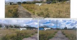 Foreclosed Residential Lot in General Trias, Cavite – St. Francis Village · Lot 21 Block 229 (PDIC)