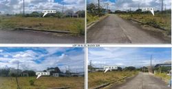 Foreclosed Residential Lot in General Trias, Cavite – St. Francis Village · Lot 20 Block 229 (PDIC)