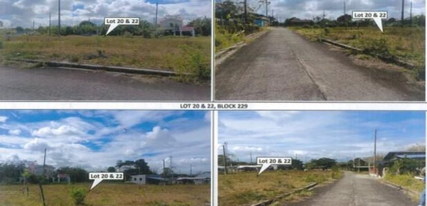 Foreclosed Residential Lot in General Trias, Cavite – St. Francis Village · Lot 20 Block 229 (PDIC)
