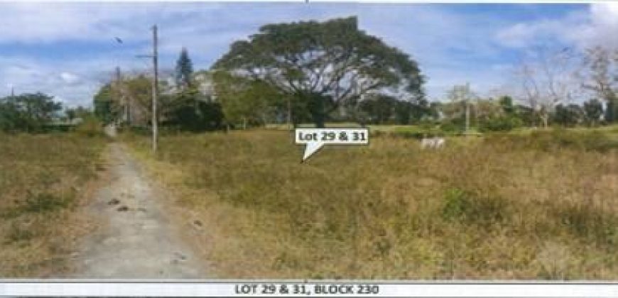 Foreclosed Residential Lot in General Trias, Cavite – St. Francis Village · Lot 29 Block 230 (PDIC)