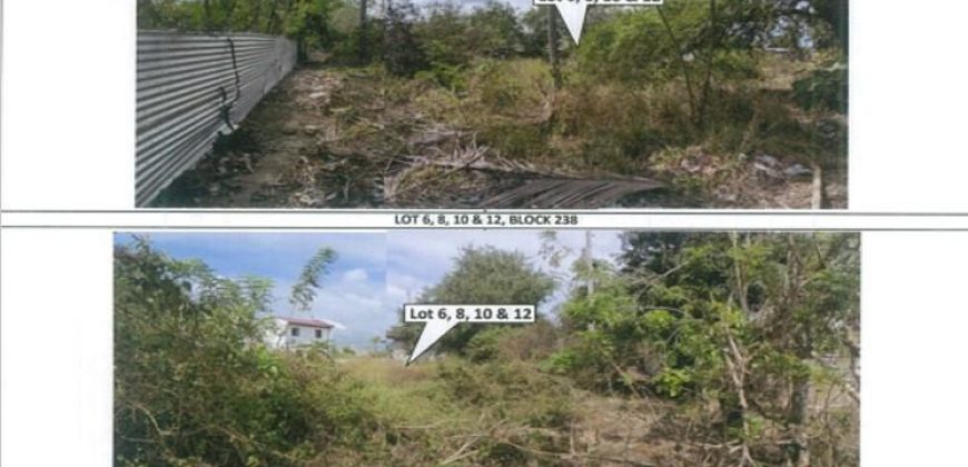 Foreclosed Residential Lot in General Trias, Cavite – St. Francis Village · Lot 6 Block 238 (PDIC)