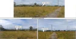 Foreclosed Residential Lot in General Trias, Cavite – St. Francis Village · Lot 10 Block 243 (PDIC)