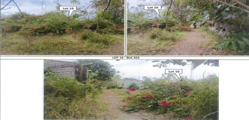 Foreclosed Residential Lot in General Trias, Cavite – St. Francis Village · Lot 16 Block 253 (PDIC)