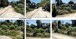 Foreclosed Residential Lot in Ilagan City, Isabela (PDIC)