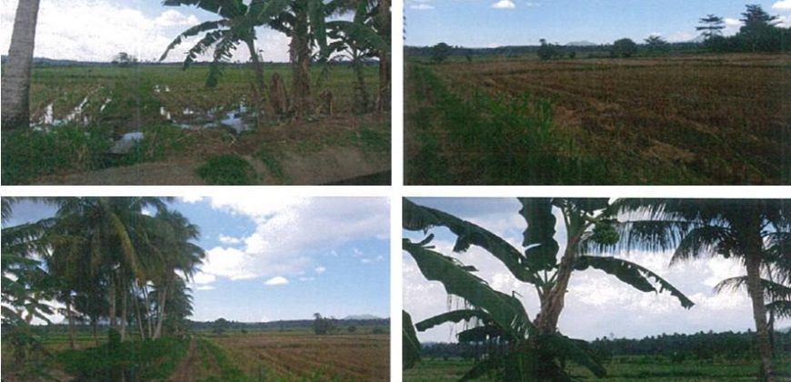 Foreclosed Agricultural Lot in Salvador, Lanao del Norte (PDIC)