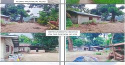 Foreclosed Property in Rosario, La Union (PDIC)