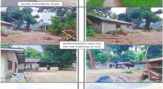 Foreclosed Property in Rosario, La Union (PDIC)