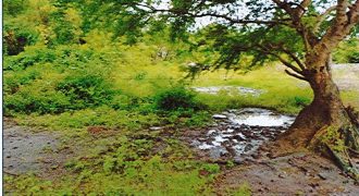 Foreclosed Residential Lot in San Jose, Occidental Mindoro