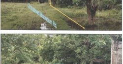 Foreclosed Residential Lot in Alicia, Isabela (PDIC)