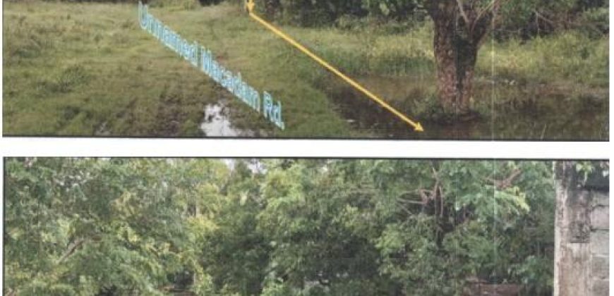 Foreclosed Residential Lot in Alicia, Isabela (PDIC)