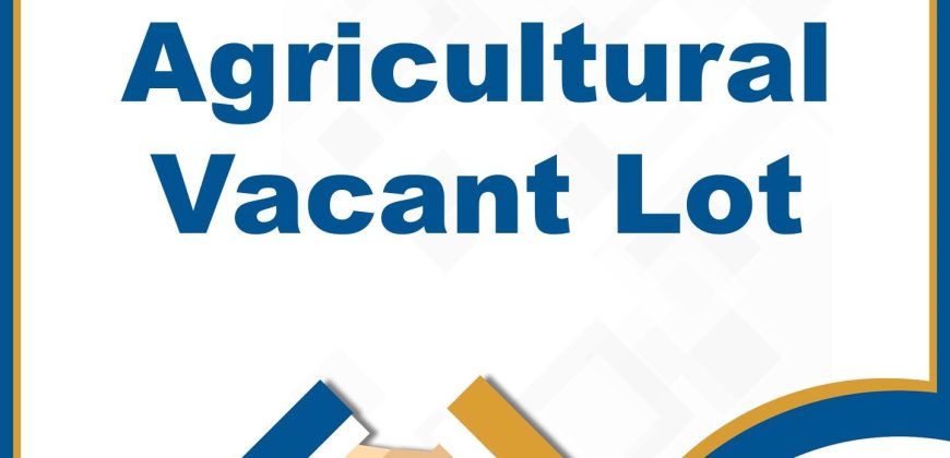 Foreclosed Agricultural Lot in San Fernando City, La Union, Luzon #2