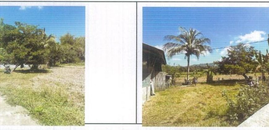 Foreclosed Property in Balaoan, La Union (PDIC)