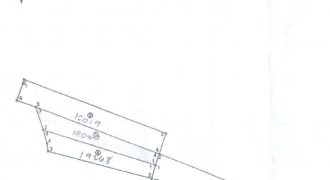 Foreclosed Agricultural Lot in Sarrat, Ilocos Norte (PDIC)