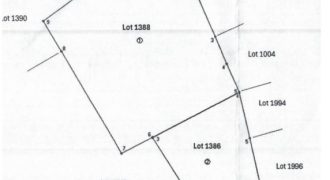 Foreclosed Agricultural Lot in Sultan Sa Barongis, Maguindanao, Mindanao #2