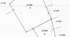 Foreclosed Agricultural Lot in Sultan Sa Barongis, Cotabato · Lot 1386 (PDIC)
