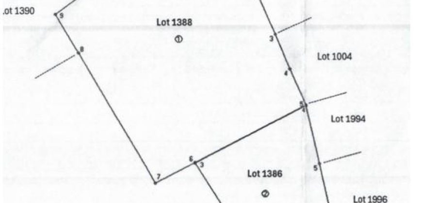 Foreclosed Agricultural Lot in Sultan Sa Barongis, Cotabato · Lot 1386 (PDIC)