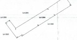 Foreclosed Agricultural Lot in Sultan Sa Barongis, Maguindanao Del Sur (PDIC)