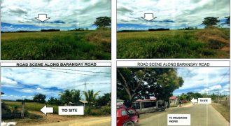 Foreclosed Agricultural Lot in Angadanan, Isabela (PDIC)